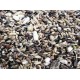 Mxt. Indígena (Manitoba) 2,5 kg Food for goldfinches and wild birds