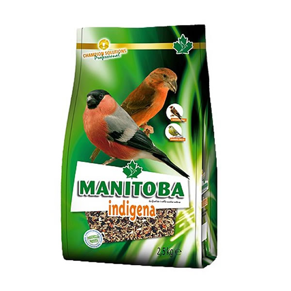 Mxt. Indígena (Manitoba) 800 gr Food for goldfinches and wild birds Mxt. Indígena (Manitoba) 800 gr Food for goldfinches and wild birds