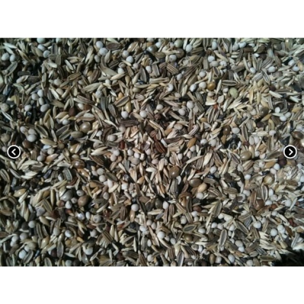 Mxt. Spinus & Spinus (Manitoba) Mxt. Spinus & Spinus (Manitoba)