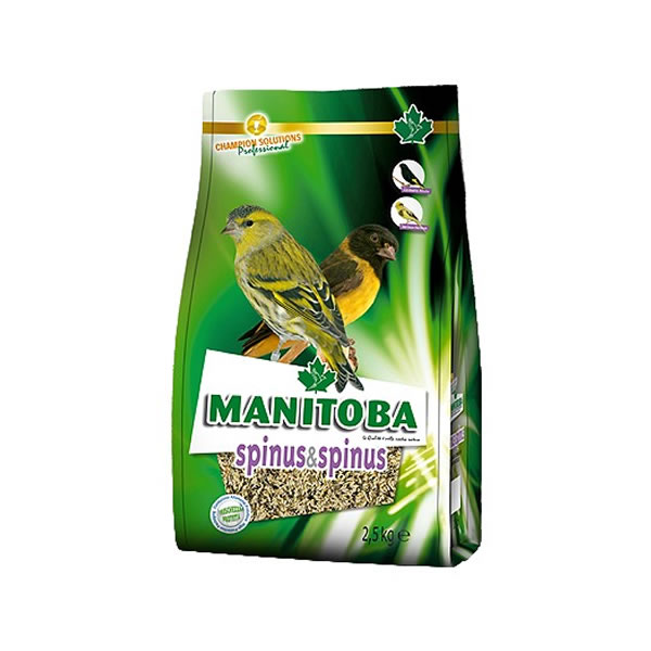 Mxt. Spinus & Spinus (Manitoba) Mxt. Spinus & Spinus (Manitoba)