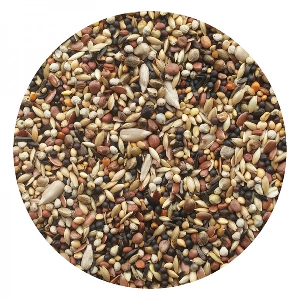 Mixtura salvaje suprema Mibo 5 Kg Mixtura salvaje suprema Mibo 5 Kg