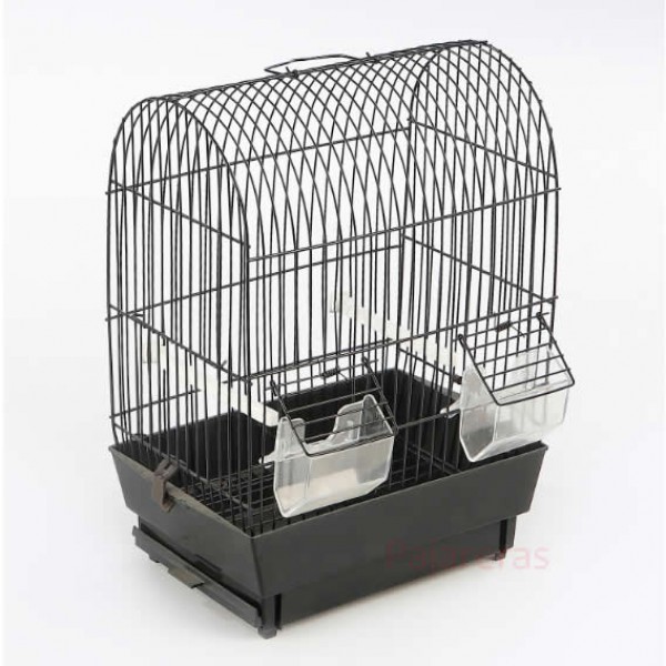 Cage Carina Exhibition