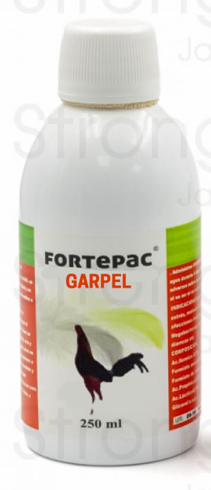 wofür ist l carnitin L-Carnitin-kapseln 100 % glutenfrei – natural elements